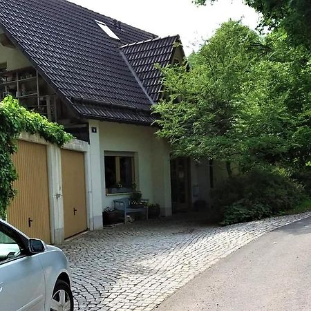 Ferienwohnung Ringbergblick 苏尔 外观 照片