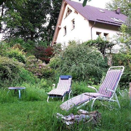Ferienwohnung Ringbergblick 苏尔 外观 照片