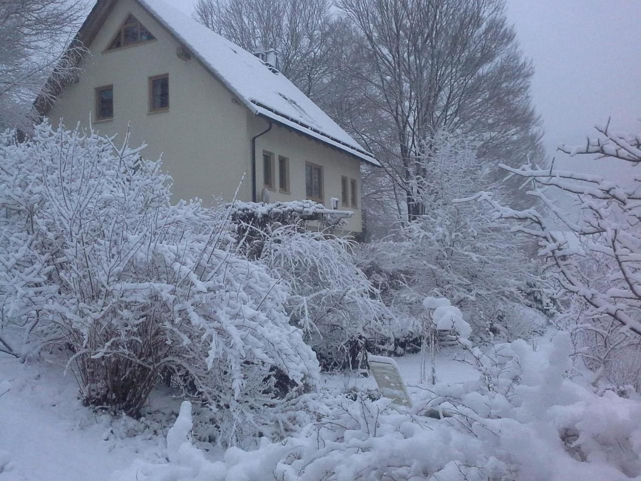 Ferienwohnung Ringbergblick 苏尔 外观 照片